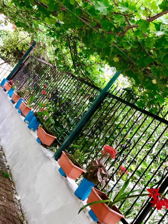 çağan